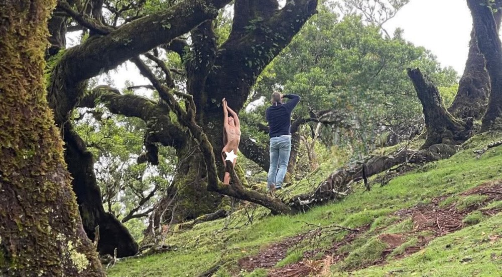 Fanal recebe sessão fotográfica naturalista