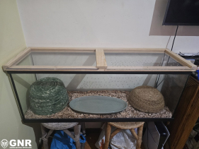 Homem com cobra em casa, no Caniço