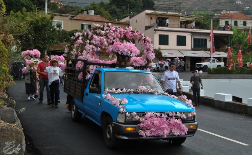 Cortejo das Açucenas