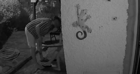 Defesa pede libertação imediata de homem que agrediu mulher frente ao filho